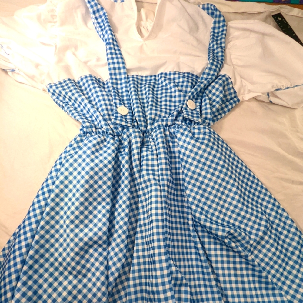 Dorothy from The Wizard of Oz Movie Costume for Halloween